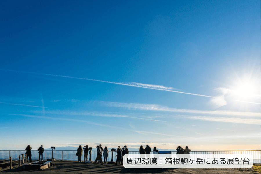 ミツバチ１号ファンドを公開しました